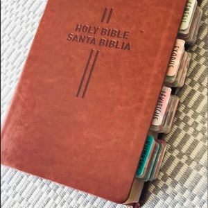 Bilingual bible NLT